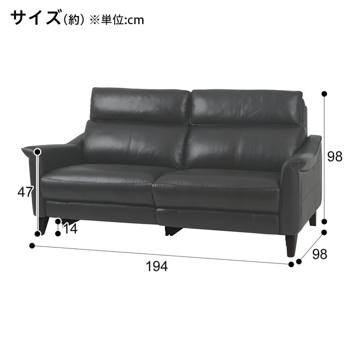 3P Sofa Cherryb SK GY