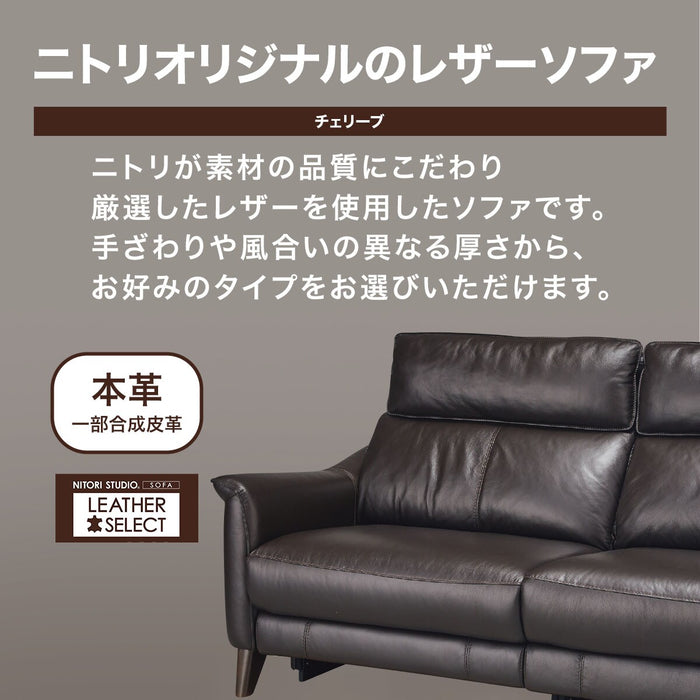 3P Electric Sofa Cherryb SK GY