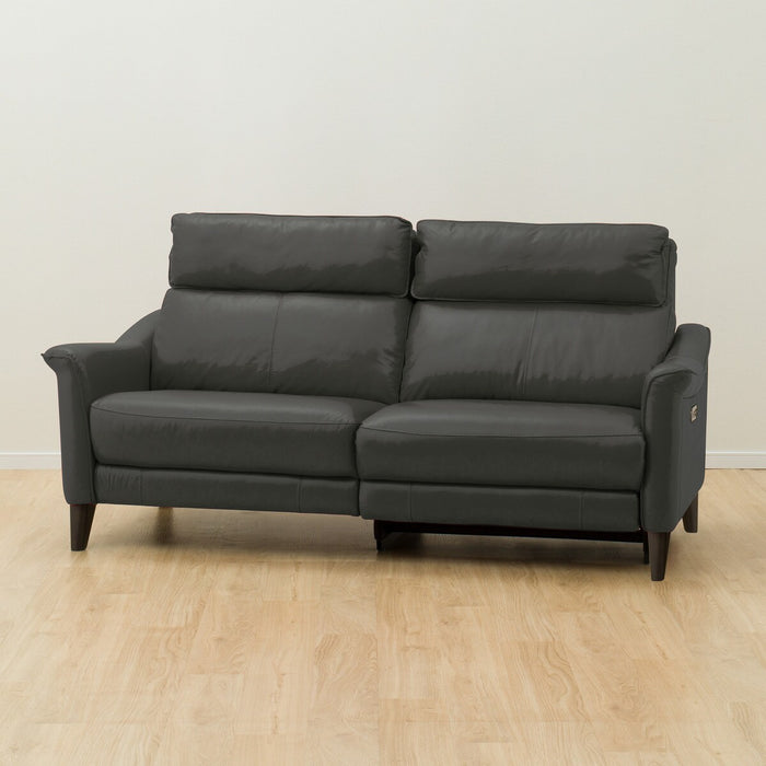 3P LA-Electric Sofa Cherryb SK GY