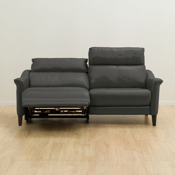 3P RA-Electric Sofa Cherryb SK GY