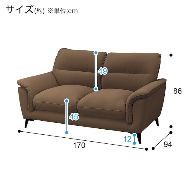 2S Sofa WE01 DBR