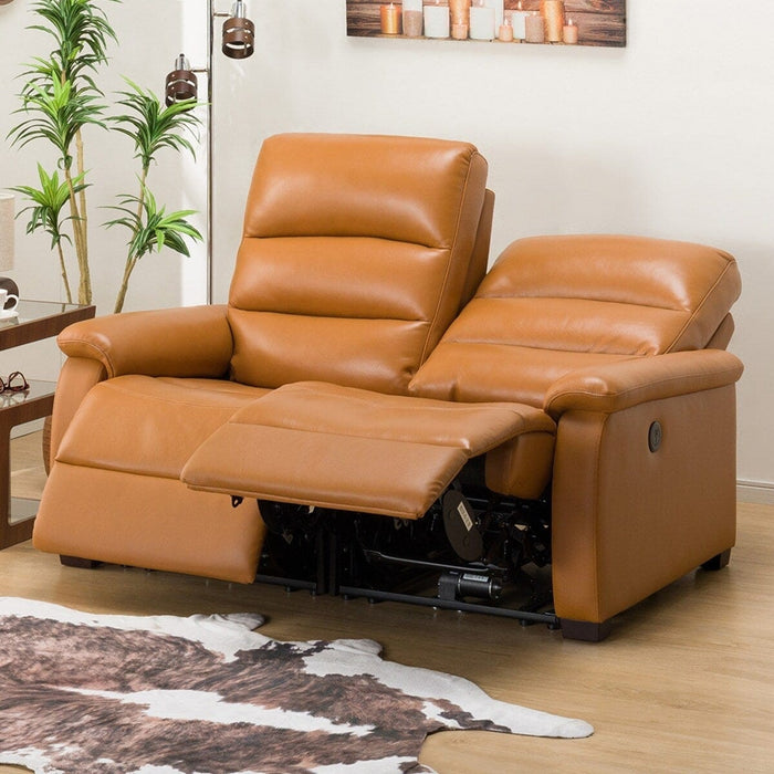 2 Seat Recliner Sofa N-Believa CA2-JHN76 TK Leather