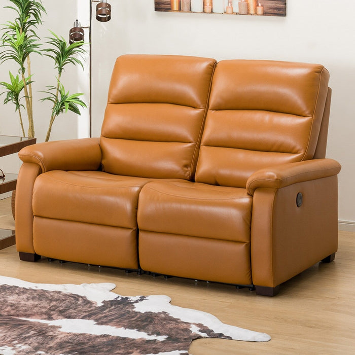 2 Seat Recliner Sofa N-Believa CA2-JHN76 TK Leather