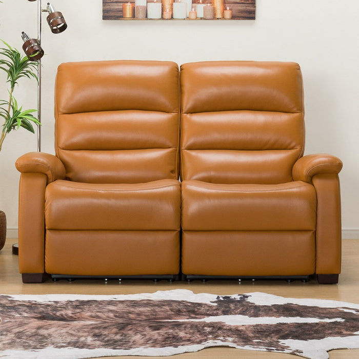 2 Seat Recliner Sofa N-Believa CA2-JHN76 TK Leather