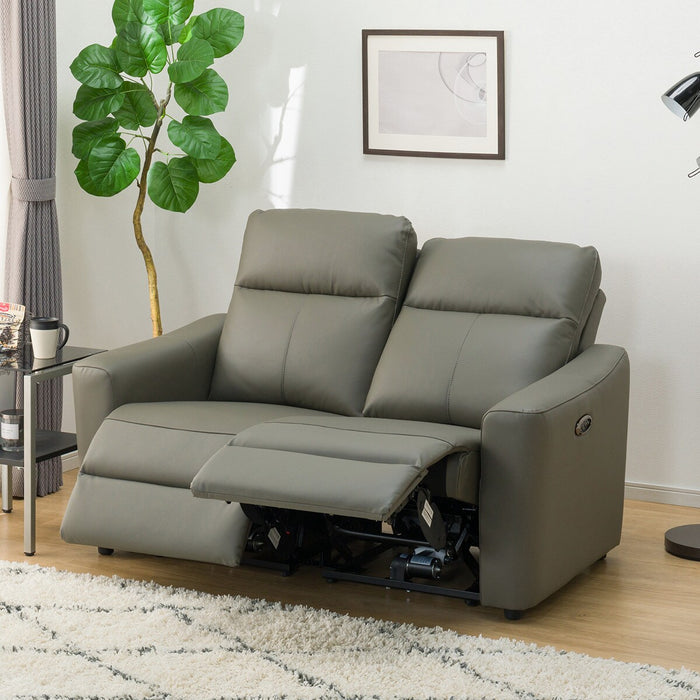 TwIn Motor 2S-Sofa UM01DGY