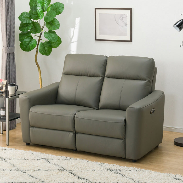 TwIn Motor 2S-Sofa UM01DGY