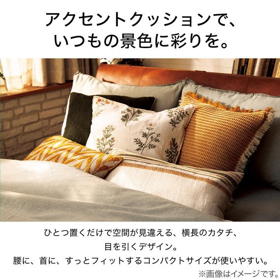 Accent Cushion ANV010