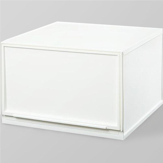 Multi-Purpose Plastic Storage Wide L