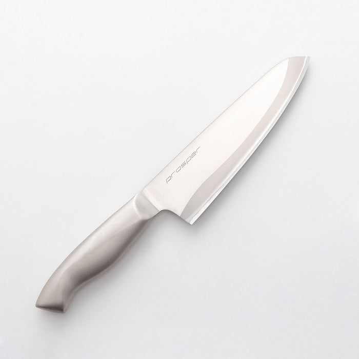 Stainless Steel Kitchen Knife Prosper