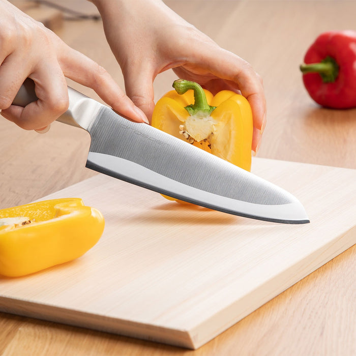 Stainless Steel Kitchen Knife Prosper